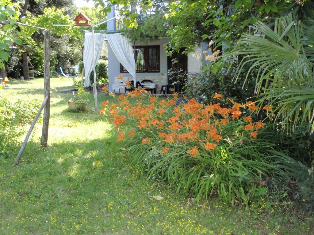 Apartments Miri Zambratija (Istria) Exterior foto